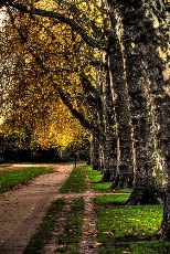 Hyde Park