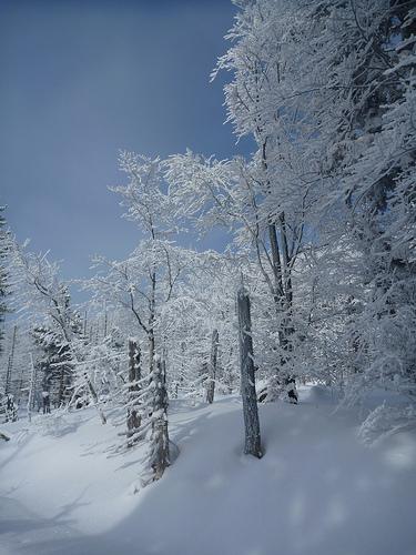 Bayerischer Wald Schnee