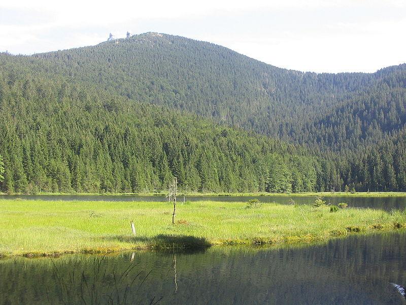 Kleiner & Großer Arbersee