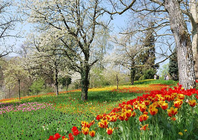 Insel Mainau