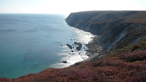 Camaret sur mer - falaises