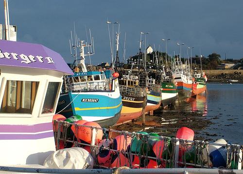 Bateaux Roscoff
