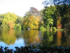 Botanischer Garten Rombergpark