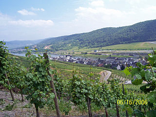 Weinberge Mosel