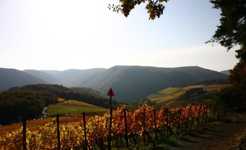 Rotweinwanderweg