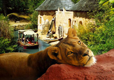 Zoo Hannover
