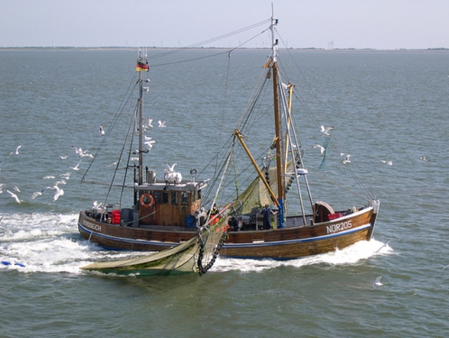 Fischkutter vor Norderney