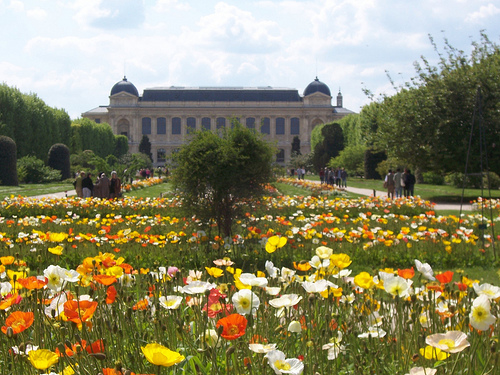 Jardin des Plantes