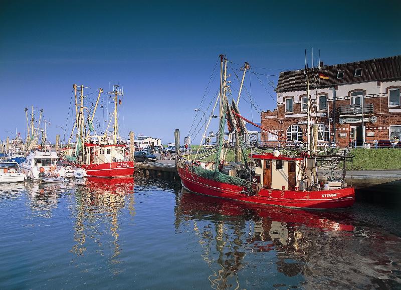 Hafen Tammensiel