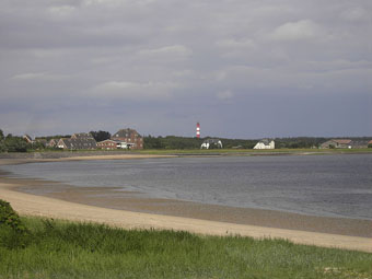 Amrum