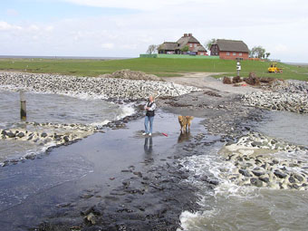 Hallig Südfall