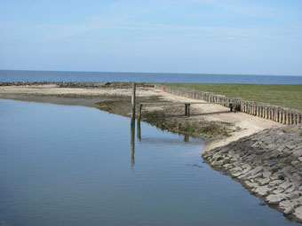 Hallig Nordstrandischmoor