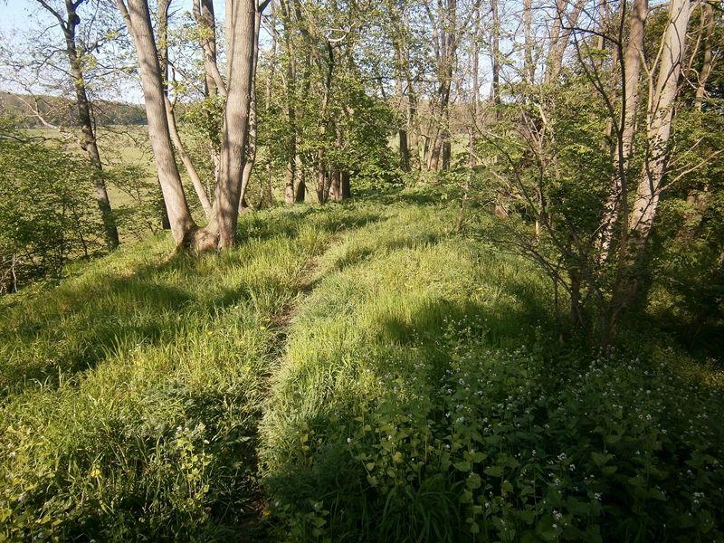 Burgwall Clausdorf