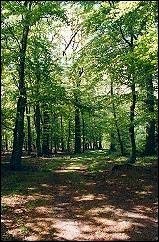 Mecklenburgische Seenplatte