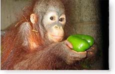 Rostocker Zoo