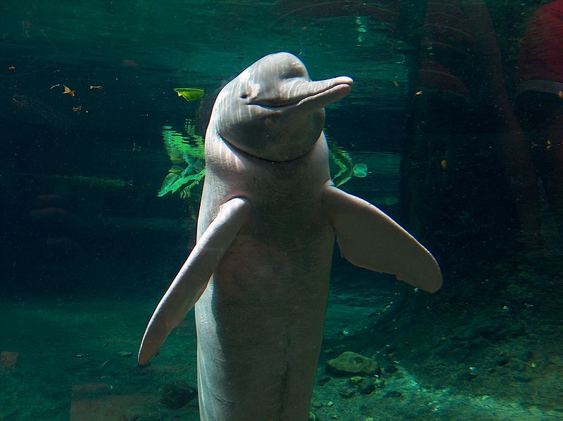 Zoo Duisburg