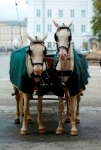 Fiaker Salzburg