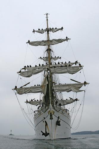 Segel Schleswig