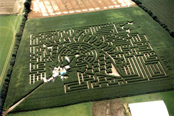 Maislabyrinth