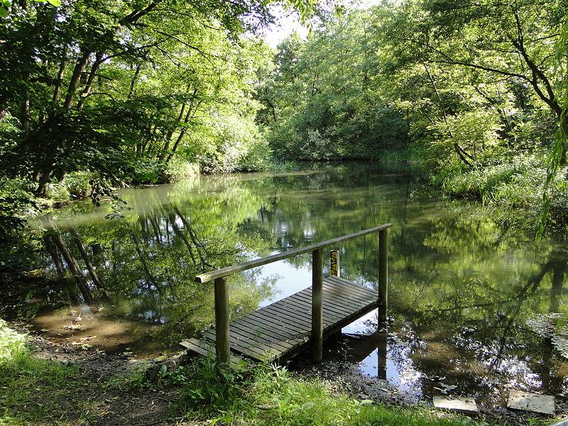 Hohen Viecheln