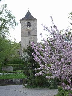 Wangen