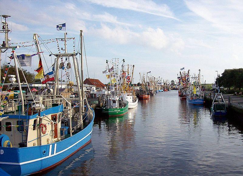 Hafen in Friedrichskoog