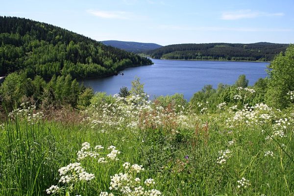 Talsperre Eibenstock im Erzgebirgskreis