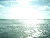 Nordsee und Wattenmeer
