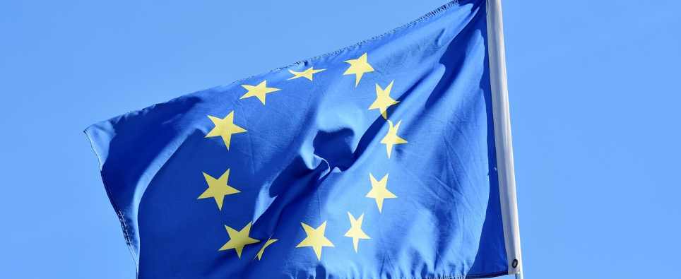 Einreisebestimmungen für den Hund in EU-Ländern Einreisebestimmungen für den Hund in EU-Ländern
