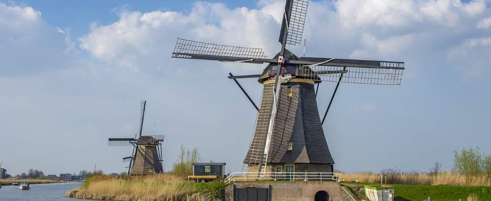 Beliebte Reiseziele mit Hund: Holland Beliebte Reiseziele mit Hund: Holland