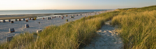 Föhr