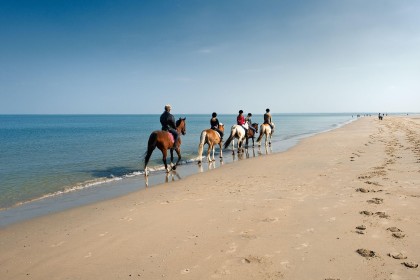 ImageReiten am Strand