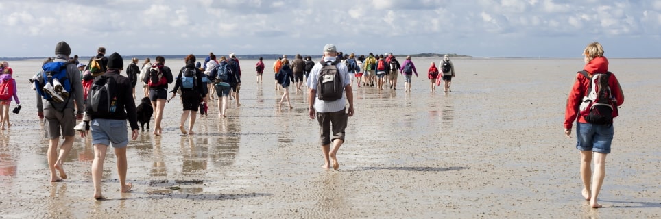 ImageGezeiten in Büsum: Das Wattenmeer entdecken