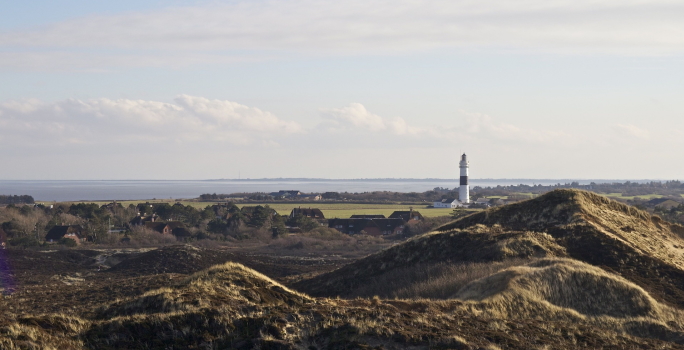 Sylter Landschaft