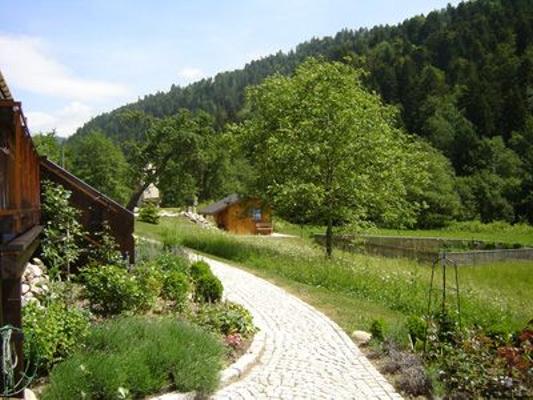 Waldwohnung im Haus Lodewick (63691) - Ferienwohnung St. Blasien
