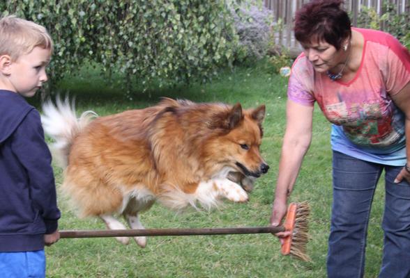 Ferienwohnung Waldstraße mit Garten - nur 50 Meter vom Wald entfernt