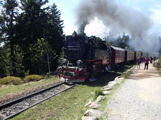 Ferienhaus Benn-eck-en-stein (95406) - Ferienhaus Benneckenstein
