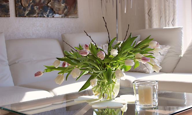Ferienhaus Carpe Diem Ferienhaus Carpe Diem -