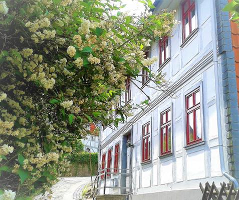 Ferienwohnung Rähmer Ferienwohnung Rähmer - Bad Grund