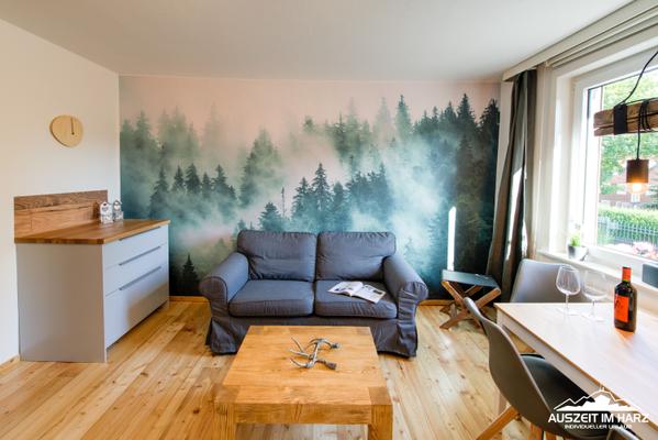 Auszeit-im-Harz Haus 4 Wohnung 2 Auszeit-im-Harz Haus 4 Wohnung 2 - Braunlage