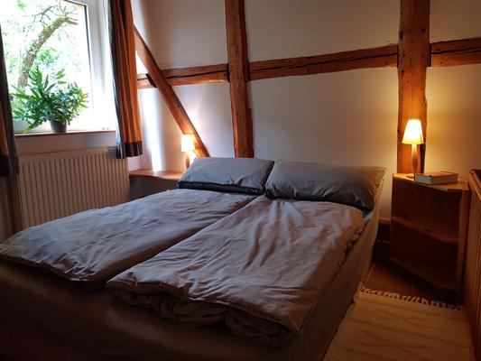 Hohegeiß Ferienwohnung Trollblume Hohegeiß Ferienwohnung Trollblume - Hohegeiß