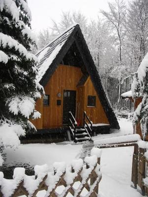 Haus am Waldsee-22 mit Kamin (92553) - Ferienhaus Clausthal-Zellerfeld