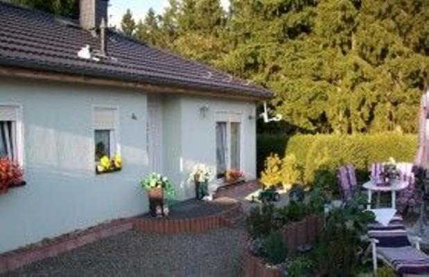 Ferienhaus Langenbeck Ferienhaus Langenbeck - Elend