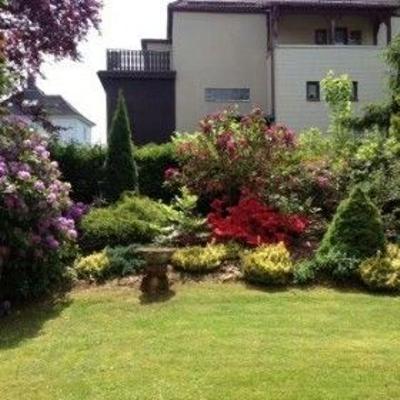 Ferienwohnung Eulennest Ferienwohnung Eulennest - Bad Sachsa