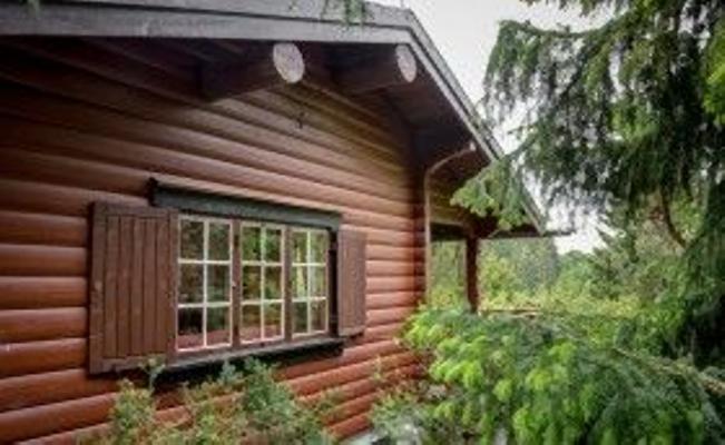 Schwedenhaus Lünnemann Lönn 21 Schwedenhaus Lünnemann Lönn 21 - Willingen