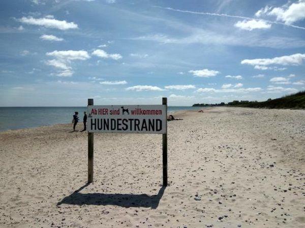 Der Hundestrand von Port Olpenitz/Weidefelder Strand