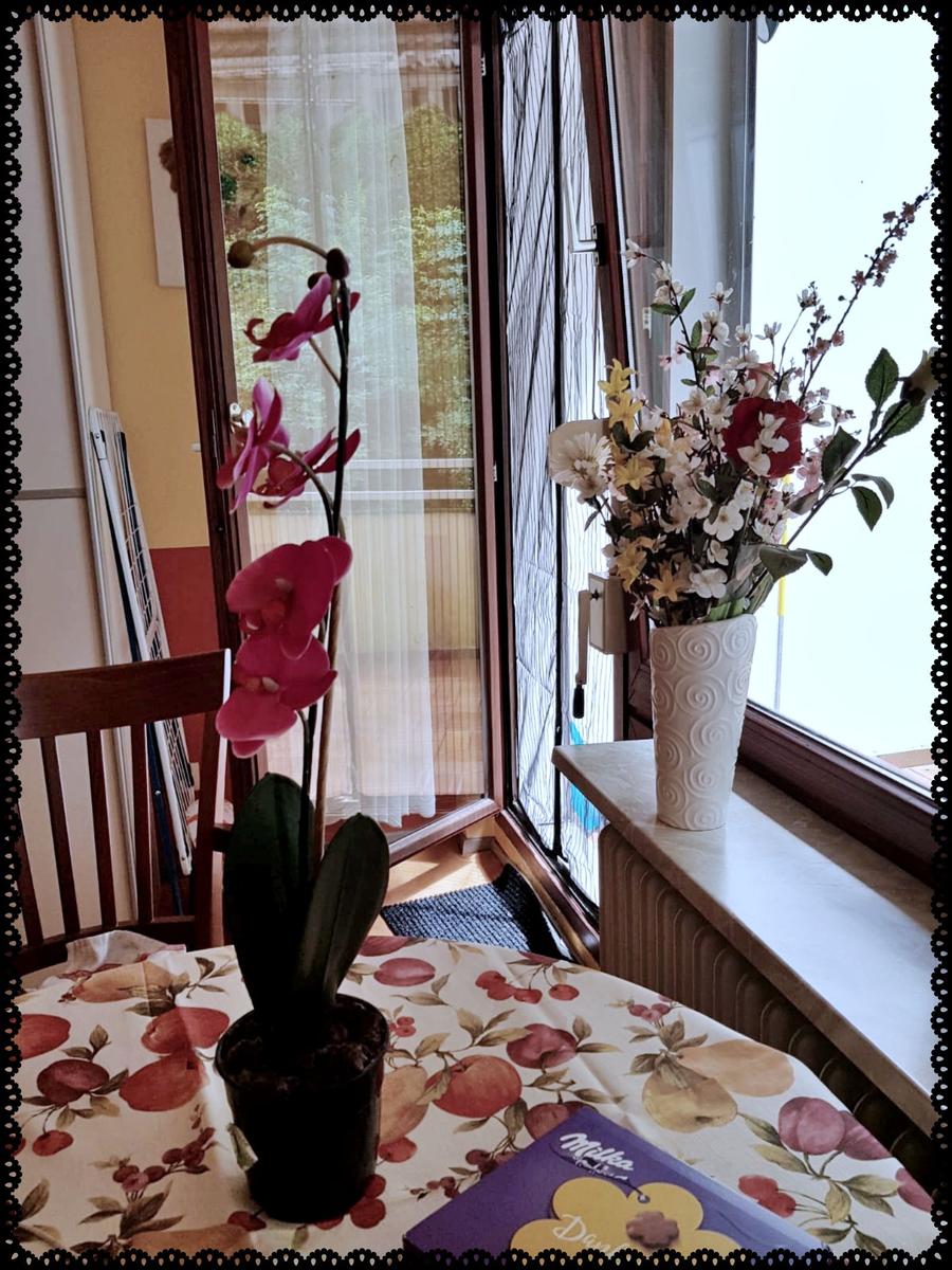 Blick aus dem Fenster