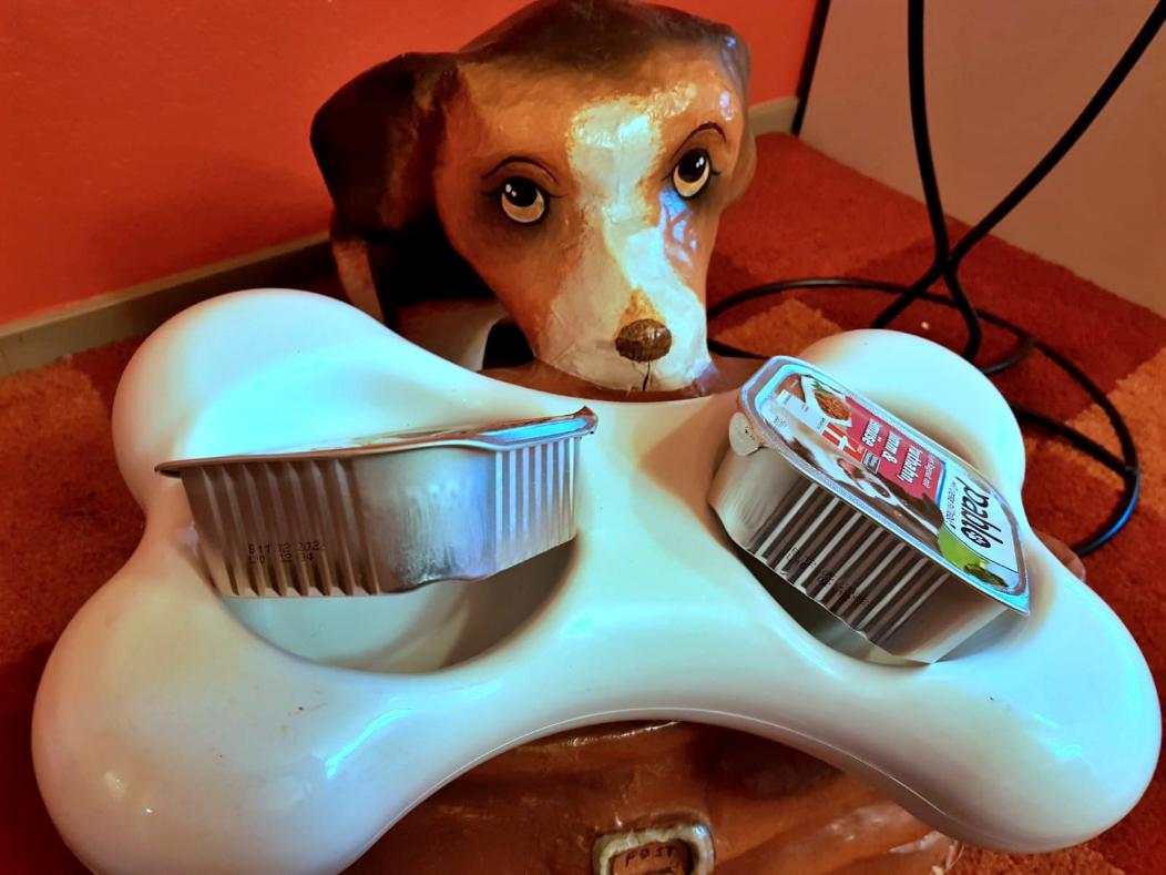 Hallo und Willkommen!