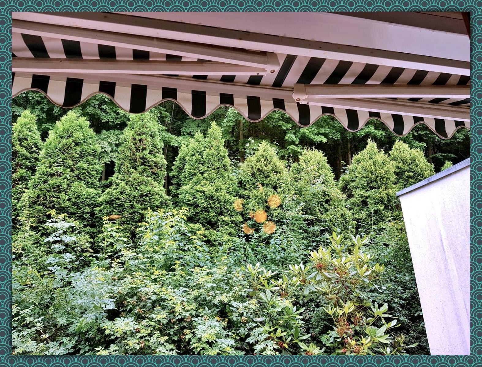 Blick von der Terrasse