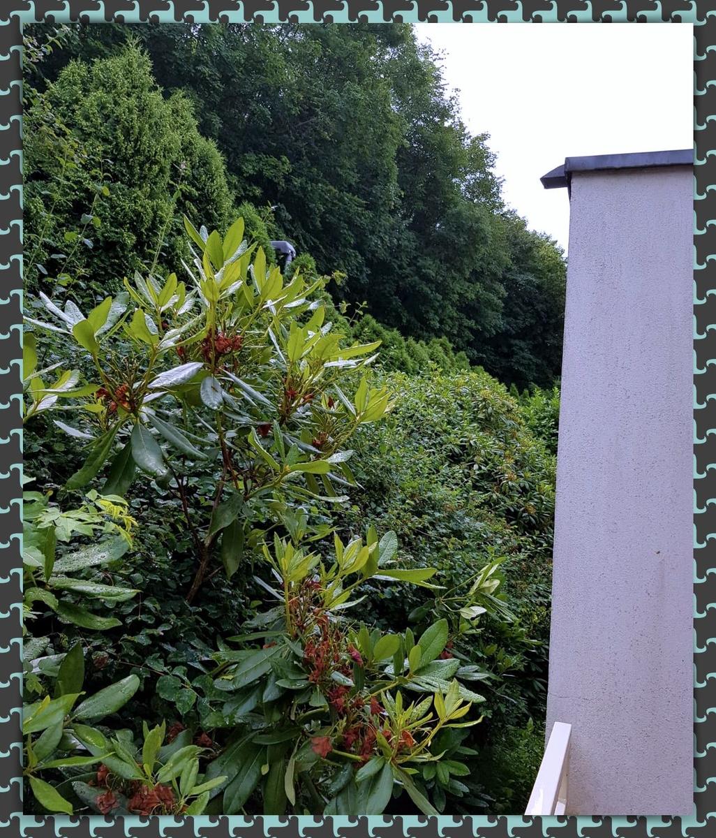 Blick von der Terrasse in das Grüne